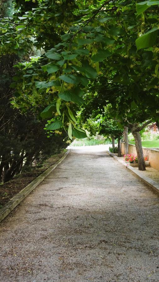 La Bastide Des Roses Bed and Breakfast Saint-Julien-d'Asse Exteriör bild