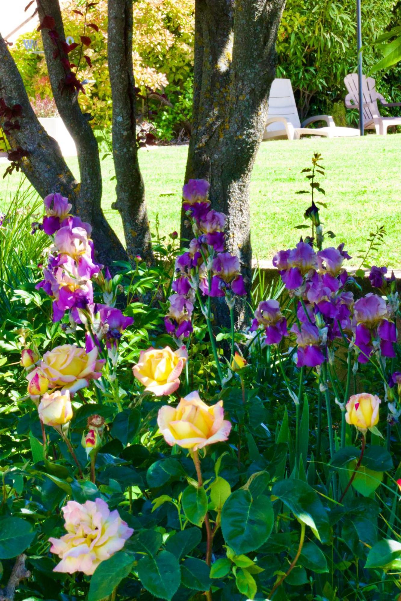 La Bastide Des Roses Bed and Breakfast Saint-Julien-d'Asse Exteriör bild