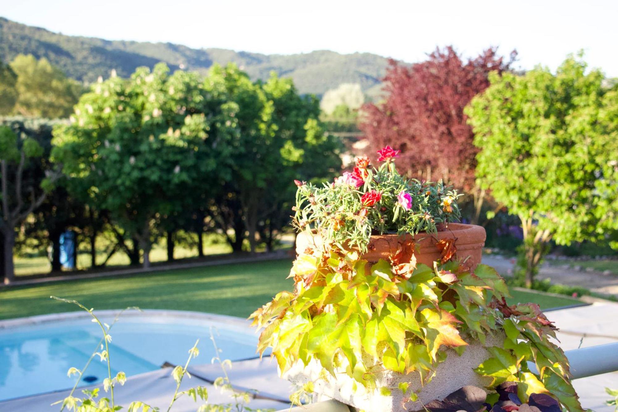 La Bastide Des Roses Bed and Breakfast Saint-Julien-d'Asse Exteriör bild